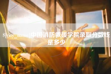滨州中国消防救援学院录取分数线是多少