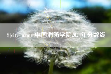 滨州中国消防学院2024年分数线