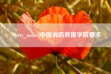 滨州中国消防救援学院要求