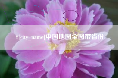 滨州中国地图全图带省份