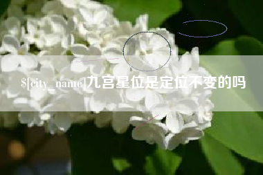 滨州九宫星位是定位不变的吗