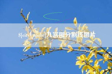 滨州九宫图分割线图片
