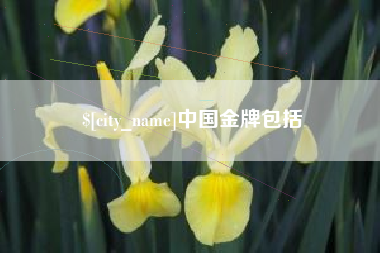 滨州中国金牌包括
