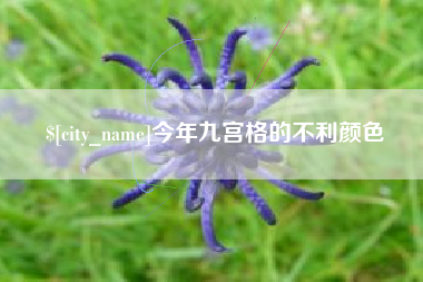 滨州今年九宫格的不利颜色