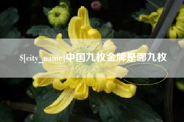 滨州中国九枚金牌是哪九枚