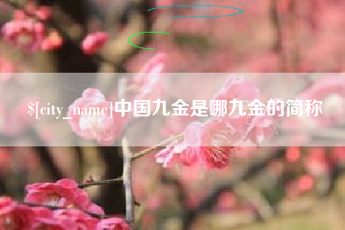 滨州中国九金是哪九金的简称