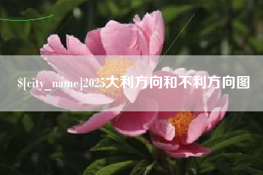 滨州2025大利方向和不利方向图