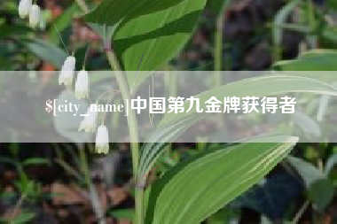 滨州中国第九金牌获得者
