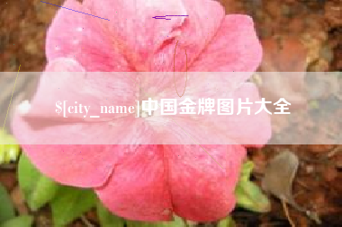 滨州中国金牌图片大全