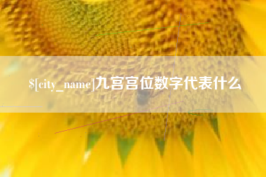 滨州九宫宫位数字代表什么