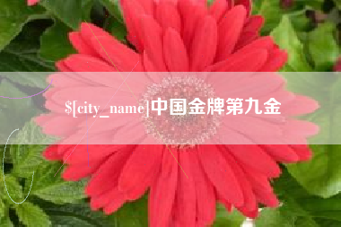 滨州中国金牌第九金
