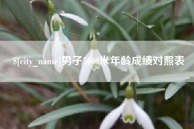 滨州男子5000米年龄成绩对照表
