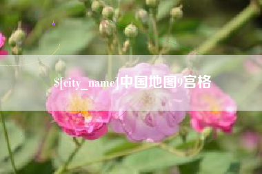 滨州中国地图9宫格