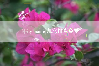 滨州九宫排盘免费