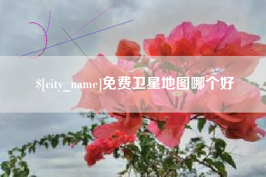 滨州免费卫星地图哪个好