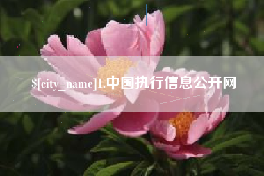 滨州1.中国执行信息公开网