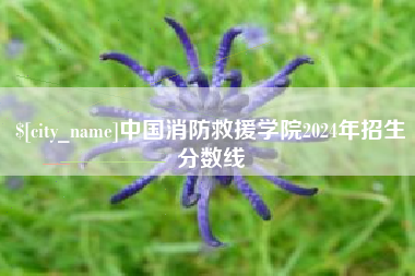 滨州中国消防救援学院2024年招生分数线