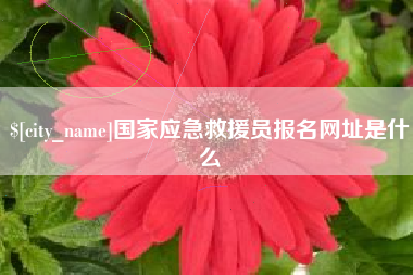 滨州国家应急救援员报名网址是什么