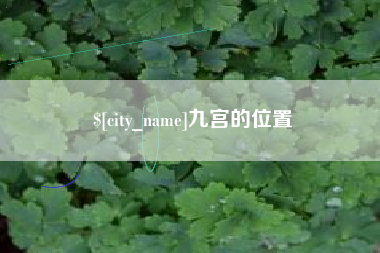 滨州九宫的位置