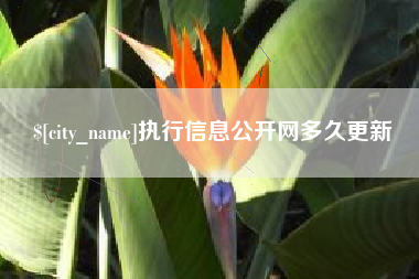 滨州执行信息公开网多久更新