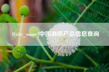 滨州中国消防产品信息查询