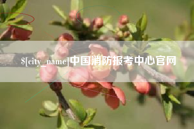 滨州中国消防报考中心官网