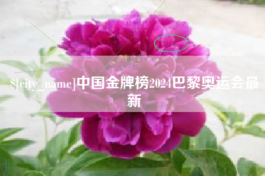滨州中国金牌榜2024巴黎奥运会最新