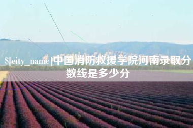 滨州中国消防救援学院河南录取分数线是多少分