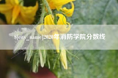 滨州2020年消防学院分数线