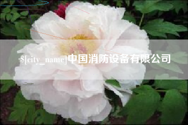 滨州中国消防设备有限公司