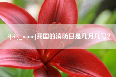 滨州我国的消防日是几月几号？