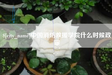 滨州中国消防救援学院什么时候政审