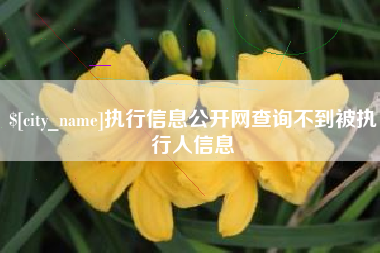 滨州执行信息公开网查询不到被执行人信息
