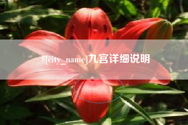 滨州九宫详细说明