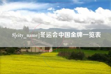 滨州冬运会中国金牌一览表