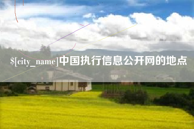 滨州中国执行信息公开网的地点