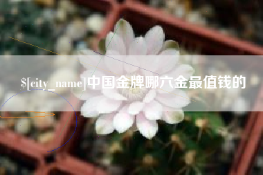 滨州中国金牌哪六金最值钱的