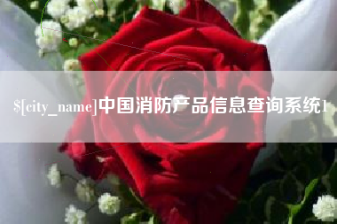 滨州中国消防产品信息查询系统1