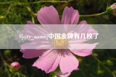滨州中国金牌有几枚了