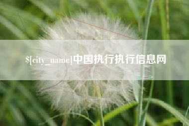 滨州中国执行执行信息网