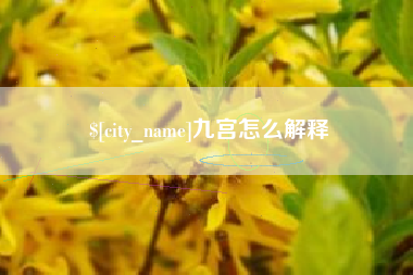 滨州九宫怎么解释