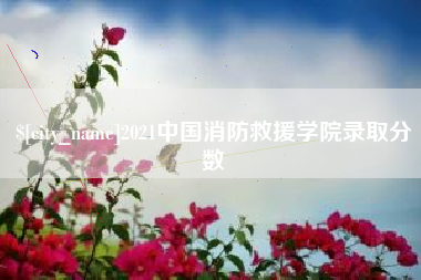 滨州2021中国消防救援学院录取分数