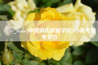 滨州中国消防救援学院2020高考报考条件