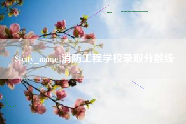 滨州消防工程学校录取分数线