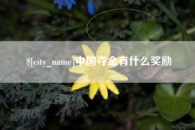 滨州中国夺金有什么奖励