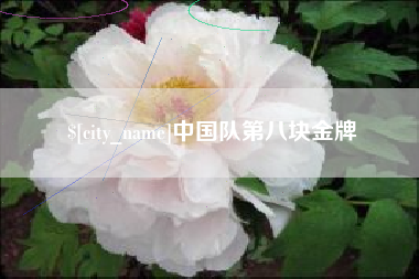 滨州中国队第八块金牌