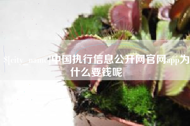 滨州中国执行信息公开网官网app为什么要钱呢