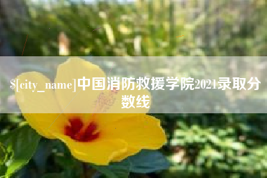 滨州中国消防救援学院2021录取分数线