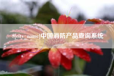 滨州中国消防产品查询系统