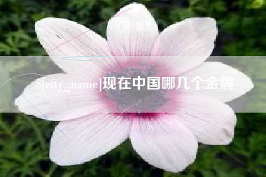 滨州现在中国哪几个金牌